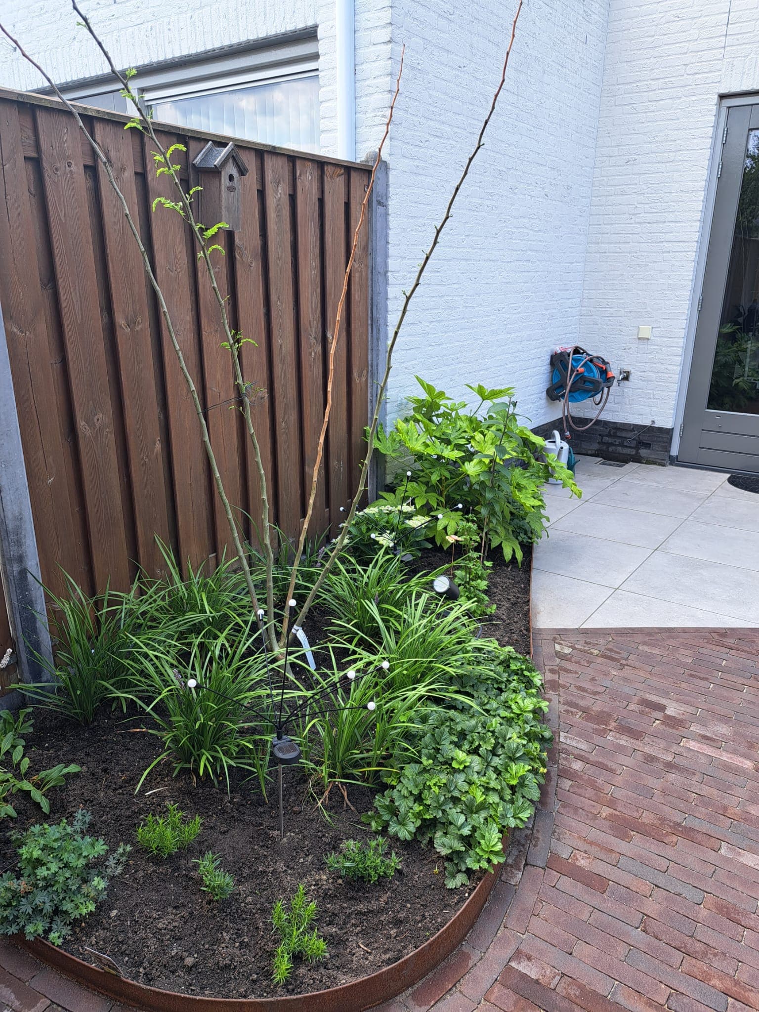 Tuinontwerp project 8