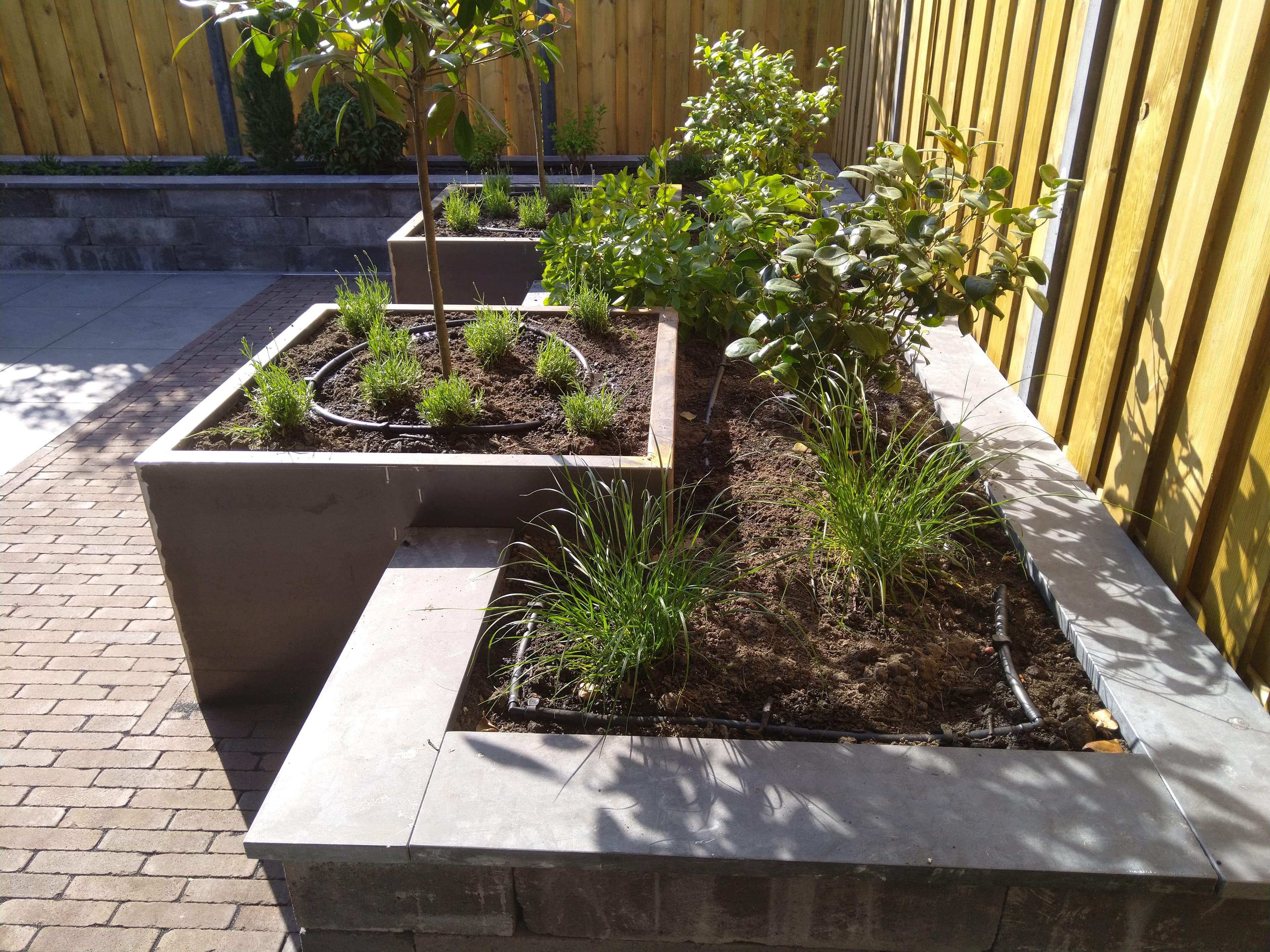 Tuinaanleg project 2