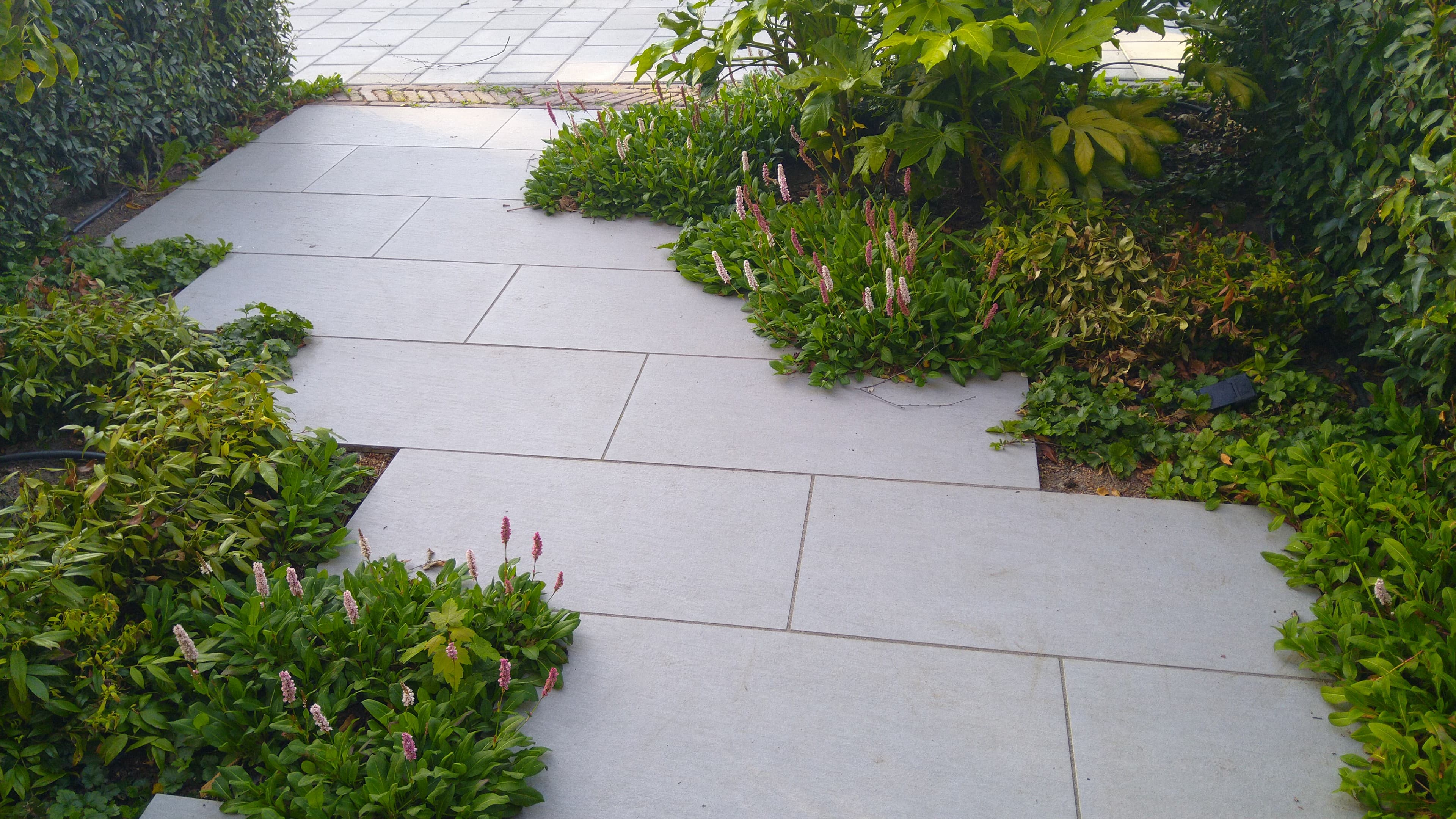 Tuinaanleg project 3