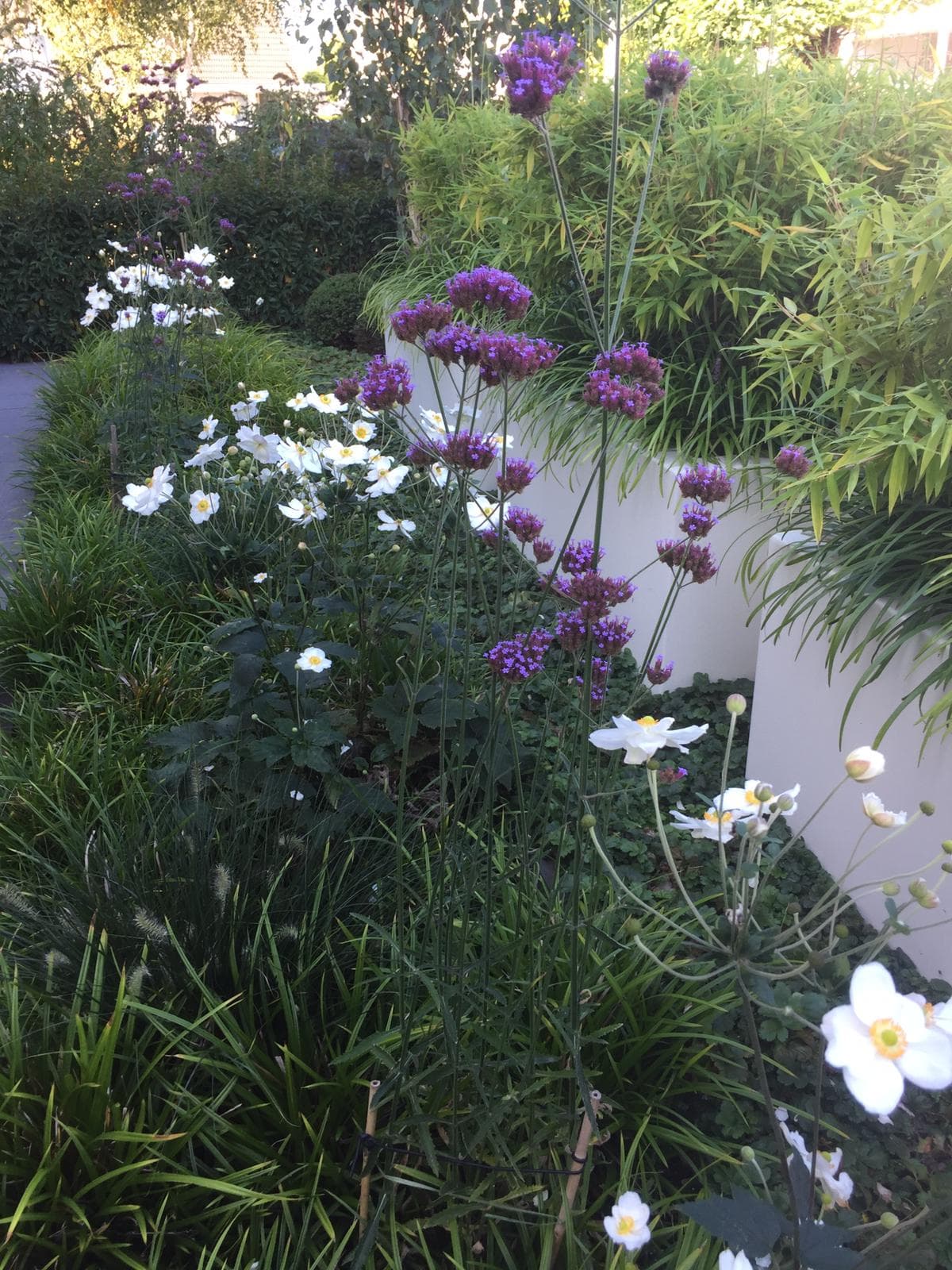 Tuinaanleg project 4